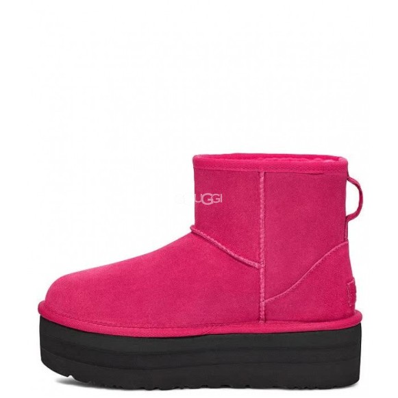 Женские мини угги на платформе UGG Classic Mini Platform Grey Violet